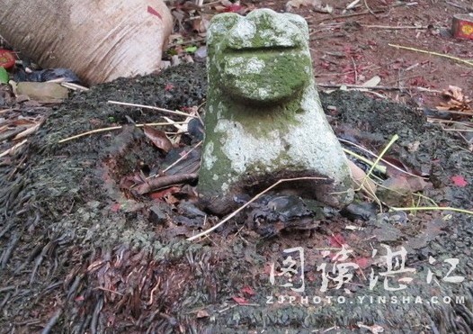 椰子樹頭上的石狗