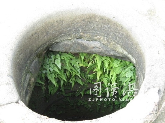 還在使用的古井