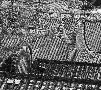 廣東佛山長岐古村