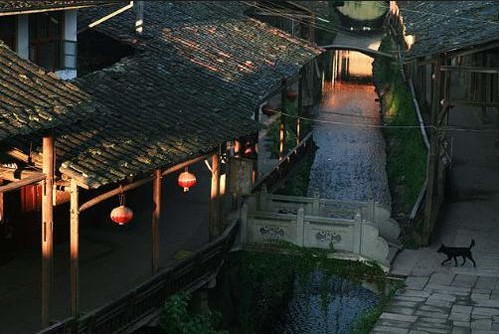 寧靜的夜