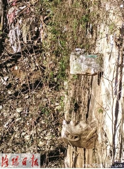 蘇羊村：清朝建築遺存甚多，土牆青瓦古樸典雅