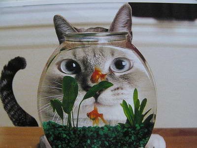古典風格 擺正水旺之年