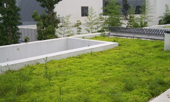 屋頂花園