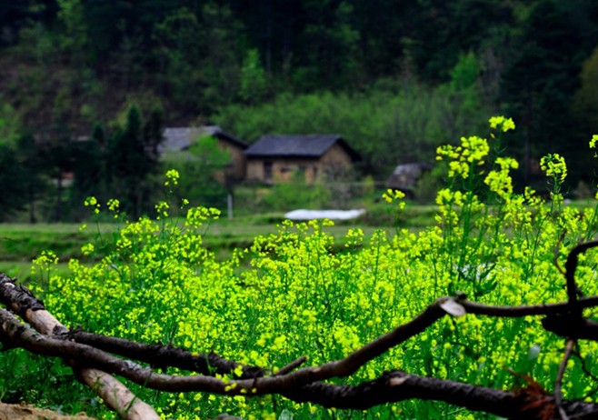 華陽古鎮