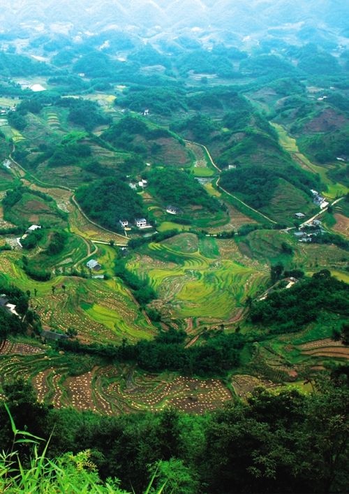 宜賓 古城