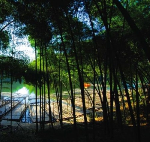 宜賓 古城