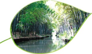 濕地公園水路