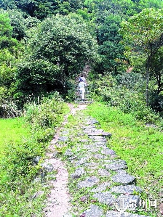 千年古驿道向遠處延伸，通往古樹名木林立的“植物園”。
