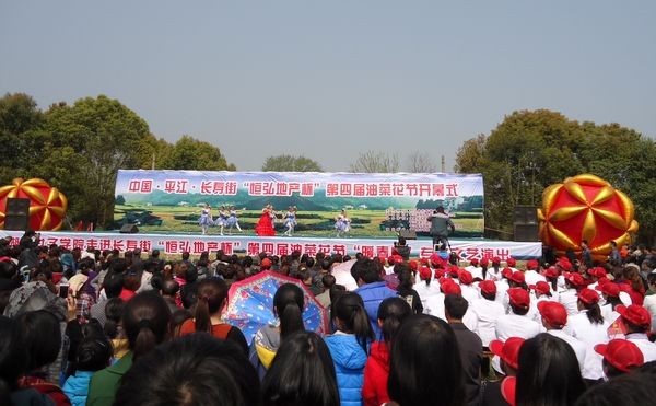 岳陽長壽古鎮田間，萬畝油菜花隨風飄揚、香飄萬裡。 黃剛 攝