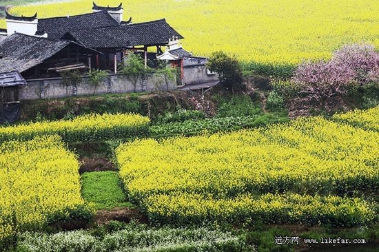 高椅古民居之春 作者：范洪