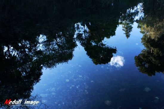 新浪旅游配圖：美麗的拉市海 攝影：麥兜