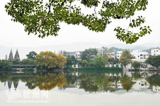 風景秀美的慈湖。