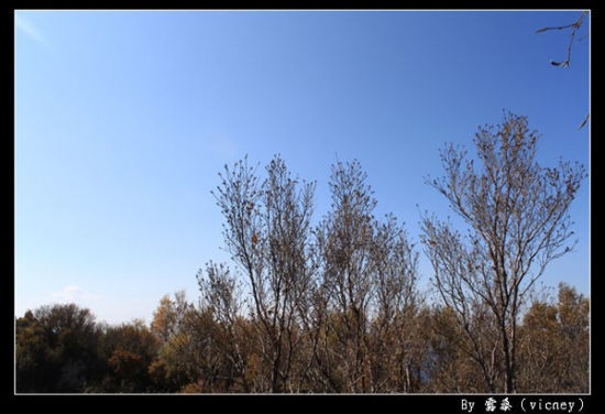 河北兩日游看白石山和暖泉古鎮小景