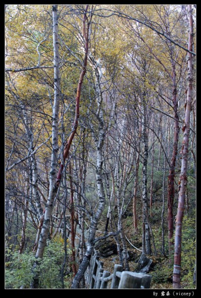 河北兩日游看白石山和暖泉古鎮小景