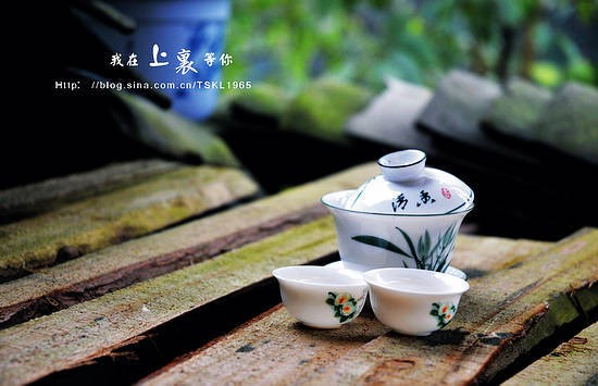 茶