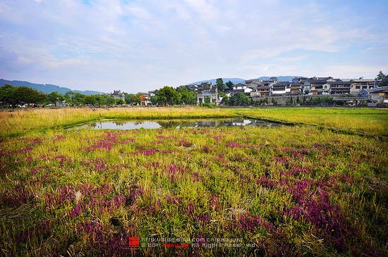 就像是一座隱秘的花園