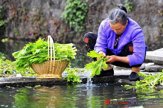 洗菜