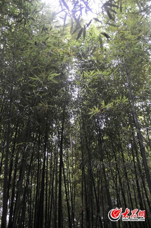 點擊浏覽下一張