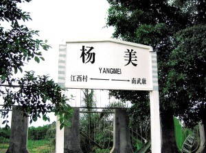 “楊美”火車站站牌。