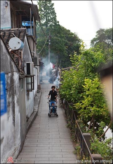 淳樸的原著民