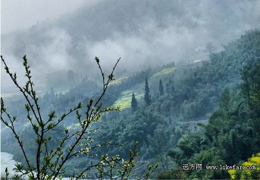 霧蒙蒙的海子山 攝影：蟲天天