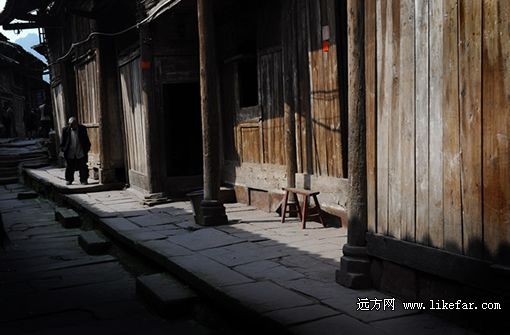 陽光很難得 攝影：澄江皓月