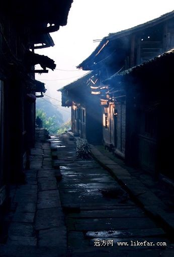 晨曦 攝影：蟲天天