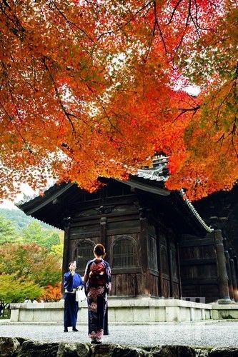 關西古都風情