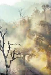 風景中的南岳古鎮(圖)