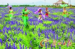 聆聽千年古村 感觸今日時尚--花都(組圖)