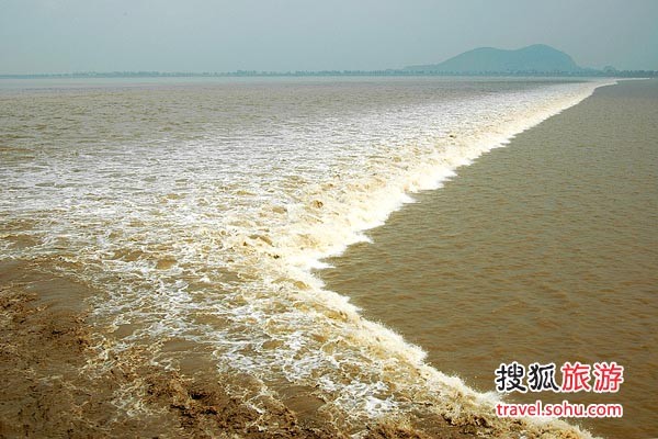 海寧觀潮