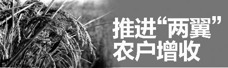 交旅將修復寧廠古鎮(組圖)