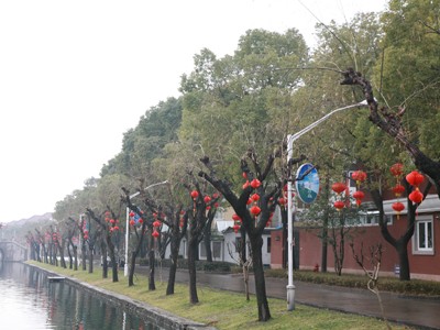照片 125.jpg