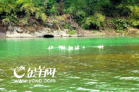 編 號: 2387425 　　　
攝影作者: 　　
文件名:yzblyc88125.jpg　　
文件大小:K　　
高 X 寬:298 X 450　　
說明:yzblyc88125.jpg